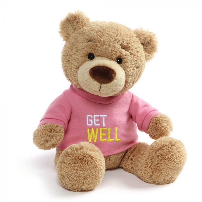 Gund MESSAGE BEAR: GET WELL SOON (PINK TSHIRT)