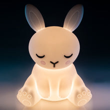 Load image into Gallery viewer, Lil Dreamers Soft Touch Night Light Bunny
