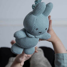 Load image into Gallery viewer, Miffy Green Knit Clip &amp; Go Jiggler Toy
