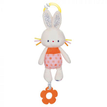 Load image into Gallery viewer, Tinkle Crinkle Bunny Activity Toy
