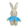 Load image into Gallery viewer, Peter Rabbit Jingler Rattle Small
