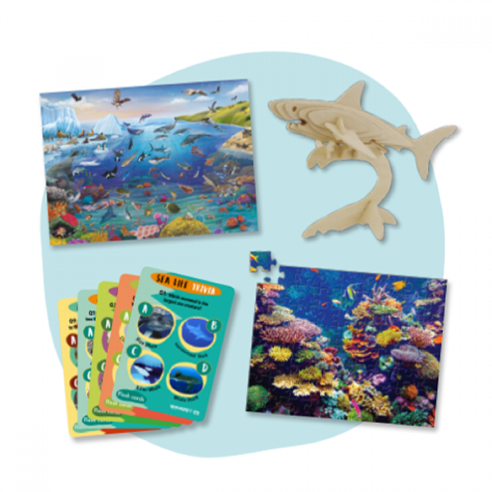 Amazing Ocean Life Activity Set