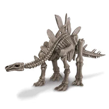Load image into Gallery viewer, Dig a Dinosaur Stegosaurus

