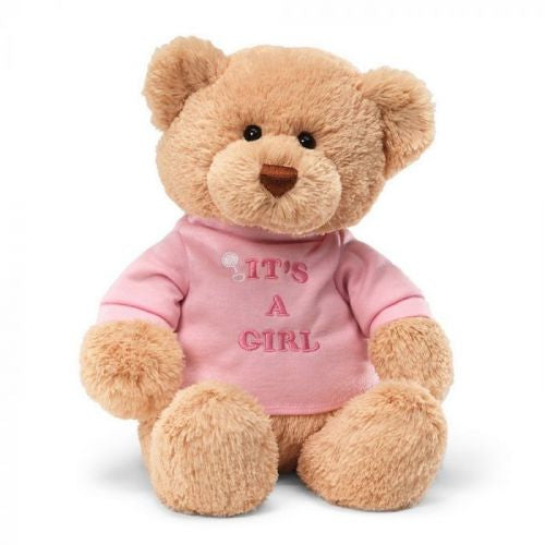 Gund Teddy Bear It's a Girl
