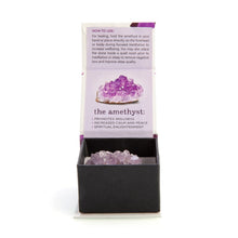 Load image into Gallery viewer, Raw Amethyst Wellness Stone
