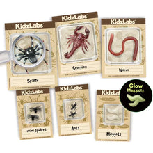 Load image into Gallery viewer, 4M - KIDZLABS - CREEPY CRAWLY DIGGING KIT
