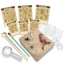 Load image into Gallery viewer, 4M - KIDZLABS - CREEPY CRAWLY DIGGING KIT
