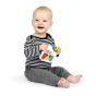 Load image into Gallery viewer, Baby Einstein Petit Piano
